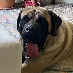 Meet your Posher, Andria